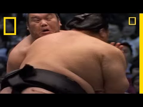 Sumo Wrestling | National Geographic