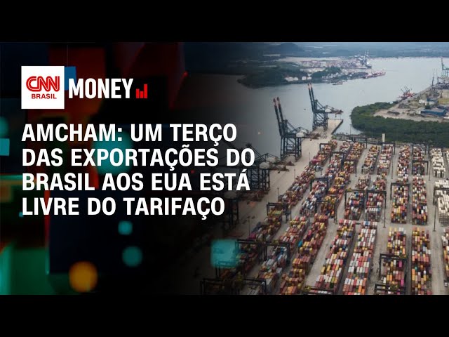 Amcham: um terço das exportações do Brasil aos EUA está livre do tarifaço | Abertura de Mercado