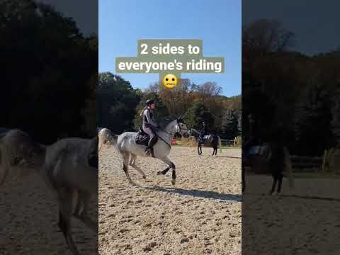 STURZ vom PFERD? 😬 #shorts #horsefall #horsefail