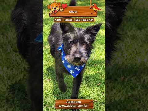 Vídeo de Oliver
