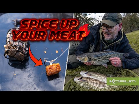 Meat fishing for chub