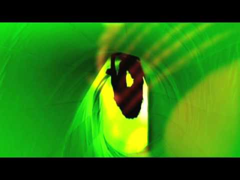 IN SITE ME · The Silent MovieProject · Synch Festival 2009 Moving Image