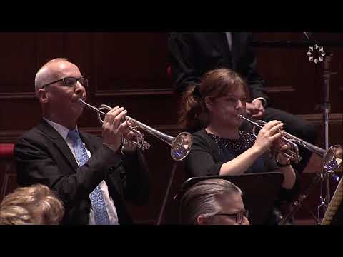 TCHAIKOVSKY - Symphony No. 4 in f-minor, op. 36 - II: Andantino in modo di canzona