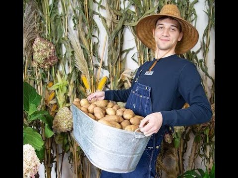 Artezzy 1000 GPM arc warden vs Top1 rank PSG.LGD.NothingToSay