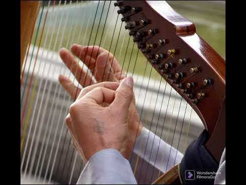 Pista llanera para bailar joropo (Instrumental)