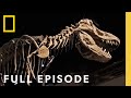 Secrets of the Dinosaurs: The Real Jurassic Americas (Full Episode) | Drain the Oceans