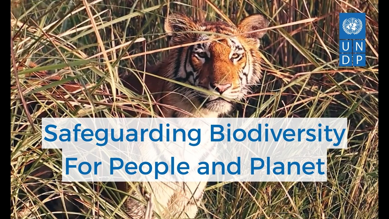 Safeguarding Biodiversity - For People and Planet