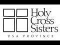 Sisters Of Mercy Of The Holy Cross History