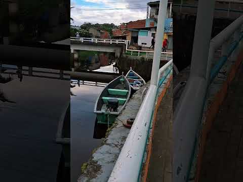 Igrapiúna Bahia