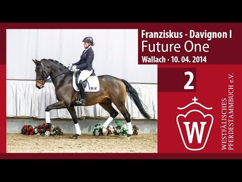 02 Future One Wallach v. Franziskus - Davignon I