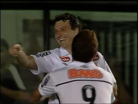 Santos - Campeão Paulista 2011 (Todos os gols)
