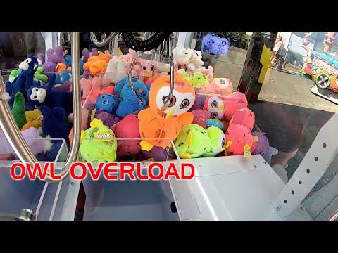 Claw Trek Episode 105 | Owl Overload