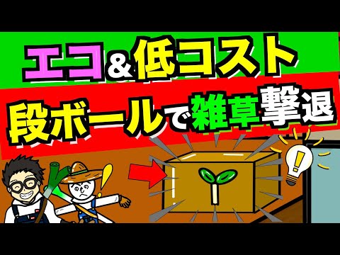庭で段ボールをどうやって使う？過小評価されない 4 つの賢い使い方  庭園