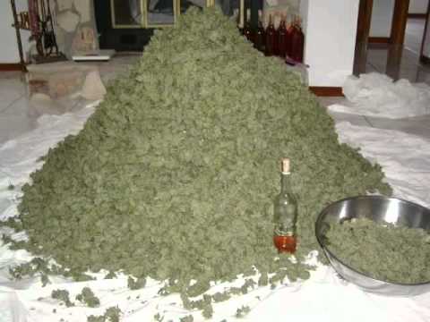 Take Off The Mask lyrics