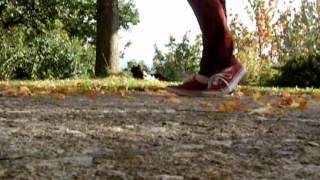 Lyre Le Temps Street Team Song Clip