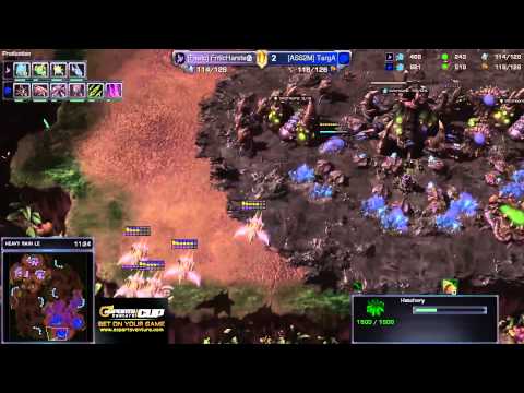 Targa vs. Harstem - ZvP - Game 5 - StarCraft 2