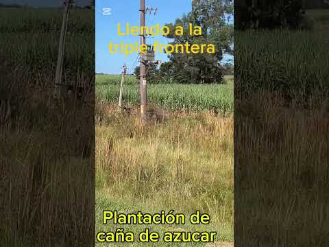 ​¿Uruguay tiene una TRIPLE FRONTERA? 🇺🇾🇧🇷🇦🇷 #shorts #uruguay #triplefrontera #bellaunion