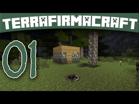 Rough Night - TerraFirmaCraft LP ep. 1