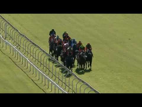 MALMOOS - 2021 World Sports Betting SA Derby (Gr1)