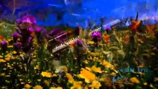 Elton John   Curtains 1975) (Remaster) [1080p HD]