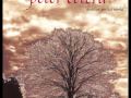 Peter Cetera Just Like Love