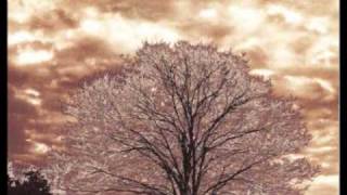 Peter Cetera - Just Like Love