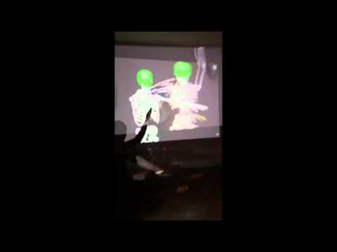 Zeskullz & Quite live show