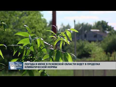 Новости Псков 01.06.2018. # Погода в июне в Псковской области будет в пределах климатической нормы 