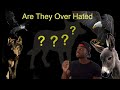 Why America S Most Hated Animal Is Underrated