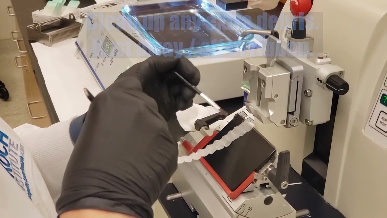 How to Section using a Microtome