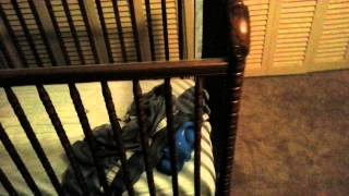 Sleeping with the lights on