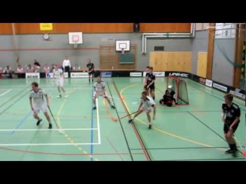 Alfta IBK - Bollnäs/Hertsjö 6-6 målet Tom Hansson