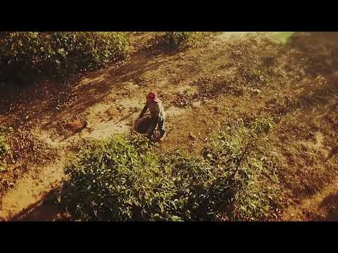 Trismoka Corporate - Trailer