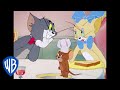 Tom Jerry Tom S Dinner Date Classic Cartoon WB Kids