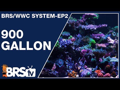 Ep2: WWC's recipe for their 900gal reef tank - The BRS/WWC System