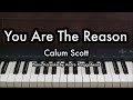 You Are The Reason Calum Scott Piano Karaoke By Andre Panggabean
