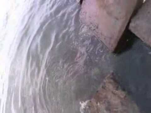 Pat Kua Batu Giok di laut