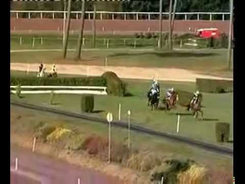 13 11 2011 - MAURE-DE-BRETAGNE - Bruyères - GRAND PRIX DE MAURE DE BRETAGNE