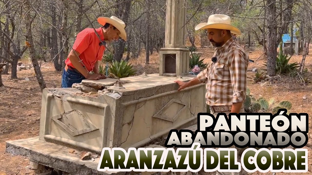 YouTube Thumbnail Downloader FULL HQ IMAGE