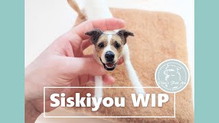 Siskiyou Work-In-Progress