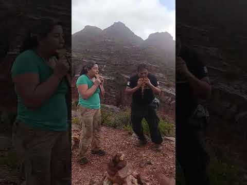 Melodias de Sikuris en lo alto de Pozo Verde, Hualfin, Catamarca.