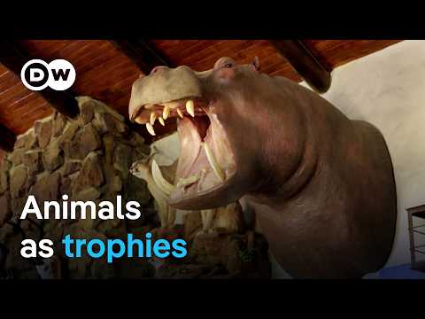 Trophy Hunting: A Cruel Hobby or Species Conservation?
