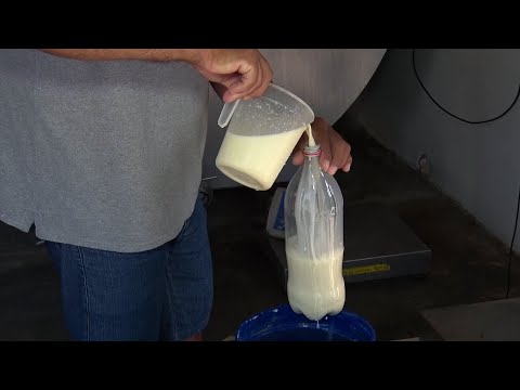 São José do Divino moderniza produção de leite em parceria entre o município e o SEBRAE 04 03 2023