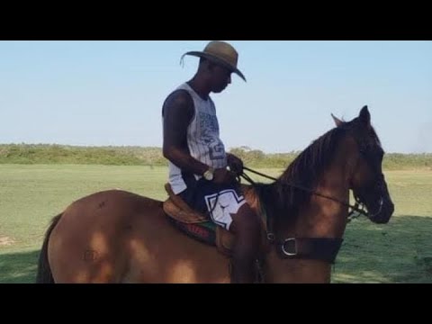 Tropa do vaqueiro complexo PALMEIRANDIA / Mc Rei da Dança / RD RLK🅱️4️⃣0️⃣