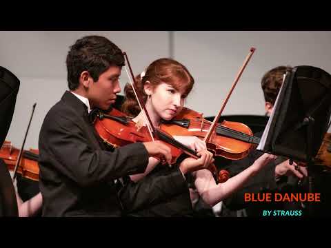 [3 hour] Strauss ~ The Blue Danube Waltz