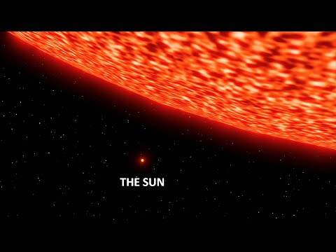 A Star That Makes Our Sun Look Tiny