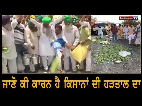 ਜਾਣੋ ਕੀ ਕਾਰਨ ਹੈ ਕਿਸਾਨਾਂ ਦੀ ਹੜਤਾਲ ਦਾ