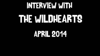 Ginger and The Wildhearts interview