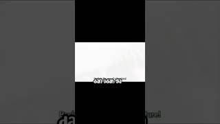 Download lagu GOING MERRY BURNED, THIS SCENE SUCCESSFULLY MAKES FANS SAD #shorts #short #youtubeshorts #rafaeljs mp3