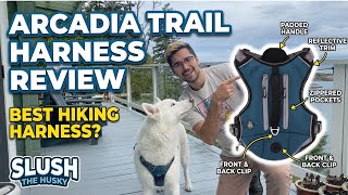 Arcadia Trail Dog Harness Review: Best Hiking Harness?